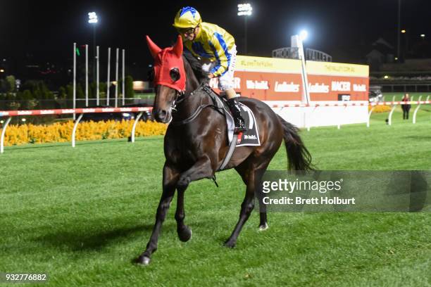 Whoomph ridden by Stephen Baster heads to the barrier before the Hacer Group Alister Clark Stakes at Moonee Valley Racecourse on March 16, 2018 in...