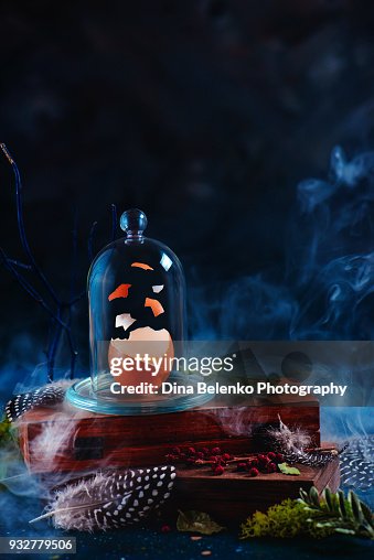 Easter egg with exploding shell under a glass dome. Saving precious things concept. Low key holiday still life with copy space. Easter egg with exploding shell under a glass dome. Saving precious things concept. Low key holiday still life with copy space.