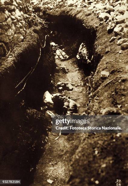 Trench on the Saint Michele Mount, died asphyxiated from the Austrian gas. Photograph, Italy, July 1916.