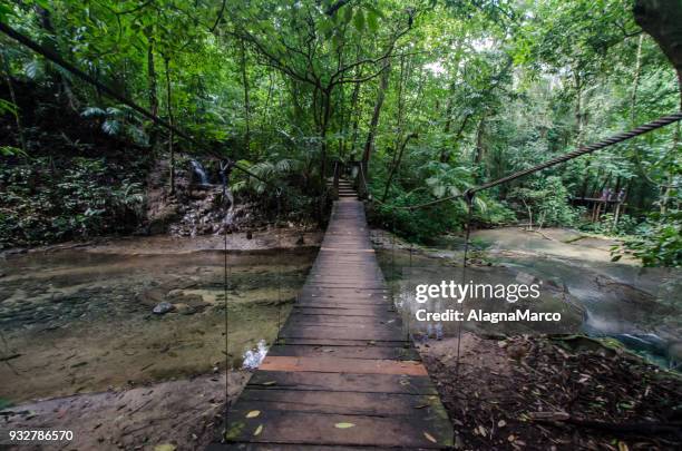 ponte sospeso nella giungla - ponte sospeso stock pictures, royalty-free photos & images