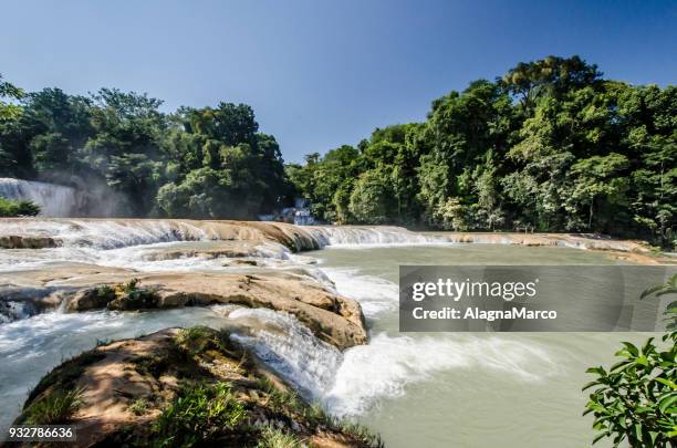 cascate di agua azul - agua azul stock pictures, royalty-free photos & images