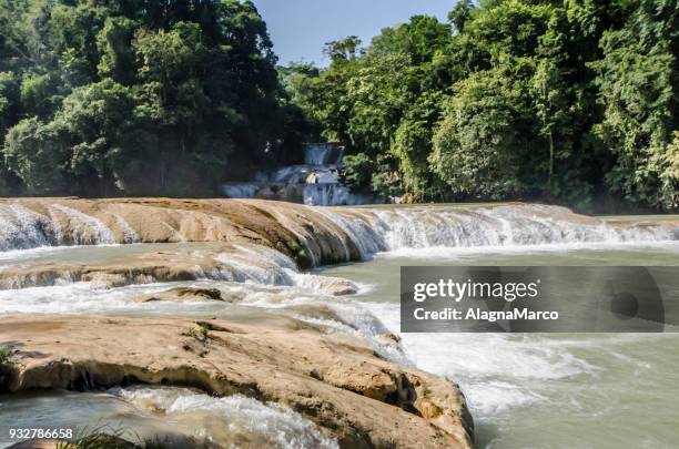 cascate di agua azul  2 - agua azul stock pictures, royalty-free photos & images