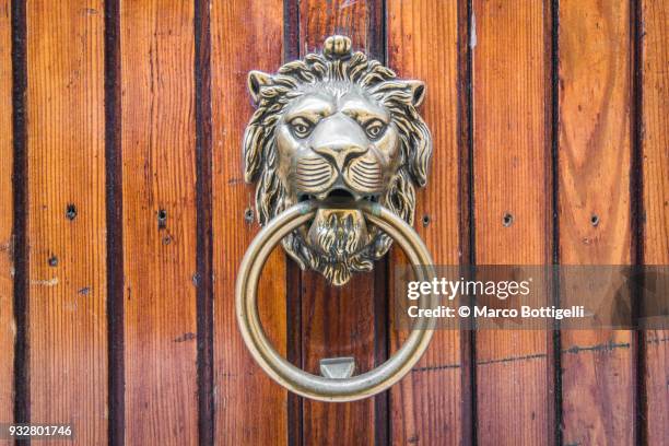 traditional lion's head door knocker. venice, veneto, italy. - door knocker stock pictures, royalty-free photos & images