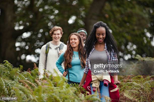 walking through the forest - kids hiking stock pictures, royalty-free photos & images