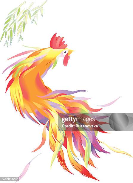 cock - violet tail stock illustrations