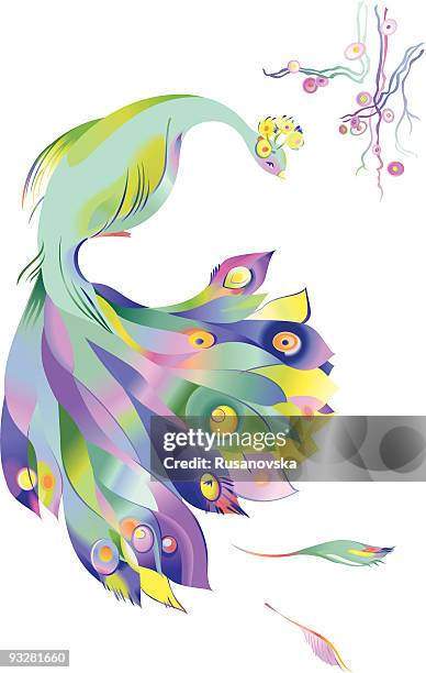 peacock - pfau stock-grafiken, -clipart, -cartoons und -symbole