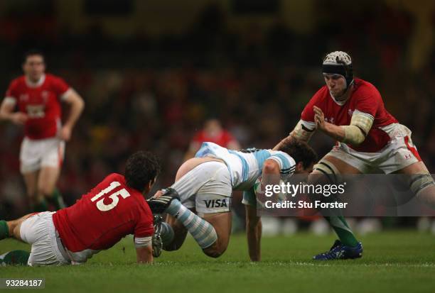 Wales full back James Hook and Ryan Jones get to grips with Argentina fly half Santiago Fernandez during the International Rugby Union match between...