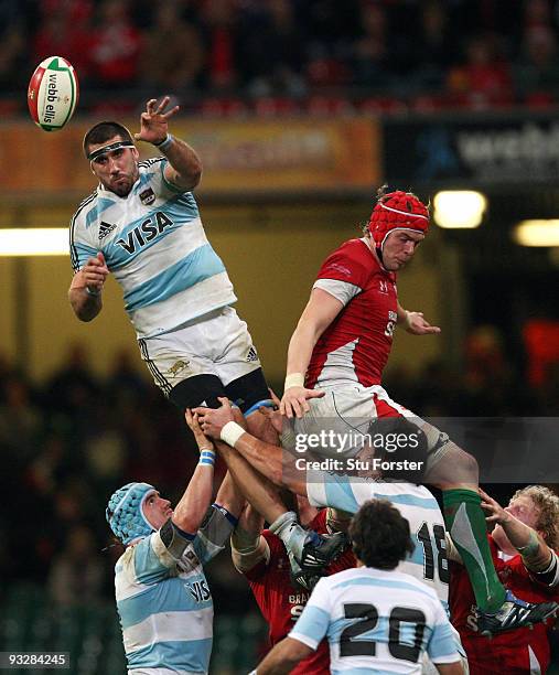 Argentina number 8 Juan Martin Fernandez Lobbe wins a line out ball during the International Rugby Union match between Wales and Argentina at...