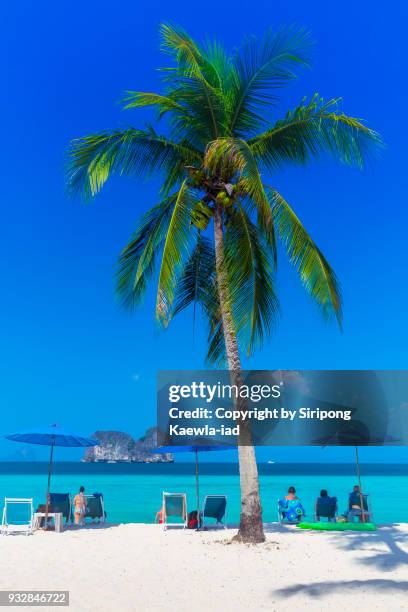 tourists are enjoy the beautiful beach and andaman sea at koh hai (hai island). - copyright by siripong kaewla iad stock pictures, royalty-free photos & images