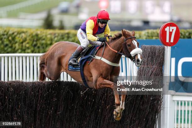 Richard Johnson riding Native River on their way to winning The Timico Cheltenham Gold Cup Steeple Chase at Cheltenham racecourse on Gold Cup Day on...