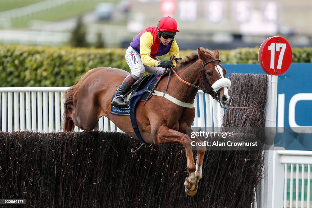 Cheltenham Festival - Gold Cup Day