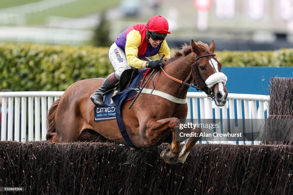 Cheltenham Festival - Gold Cup Day