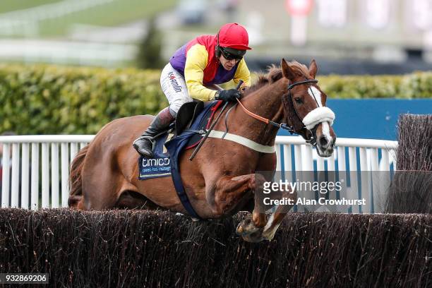 Richard Johnson riding Native River on their way to winning The Timico Cheltenham Gold Cup Steeple Chase at Cheltenham racecourse on Gold Cup Day on...