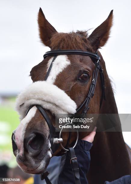 Cheltenham , United Kingdom - 16 March 2018; Native River after winning the Timico Cheltenham Gold Cup Steeple Chase on Day Four of the Cheltenham...
