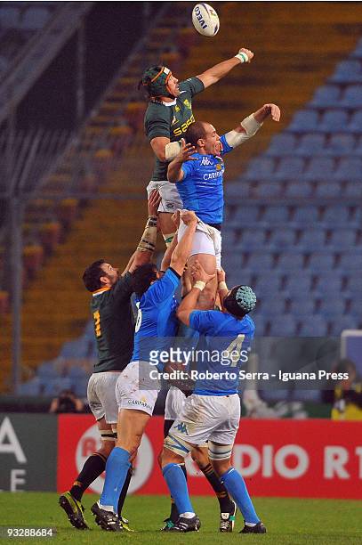 Andries Bekker wins a lineour over Sergio Parisse during the friendly match between Italy and South Africa at Friuli Stadium on November 21, 2009 in...