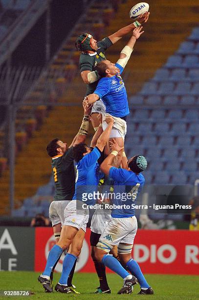 Andries Bekker wins a lineout over Sergio Parisse during the friendly match between Italy and South Africa at Friuli Stadium on November 21, 2009 in...