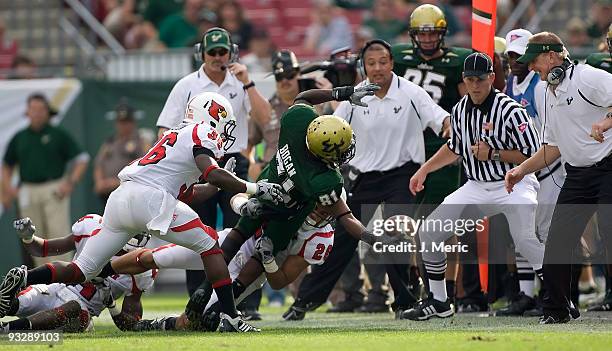 Receiver Dontavia Bogan of the South Florida Bulls stretches for extra yards against the Louisville Cardinals during the game at Raymond James...