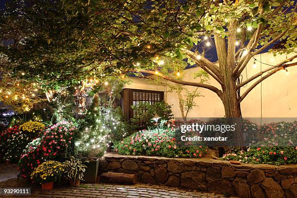 i fiori colorati con lampadine - giardino pubblico giardino foto e immagini stock