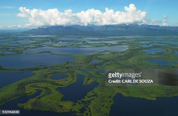 Aerial view of the Pantanal wetlands, in Mato Grosso state, Brazil on March 8, 2018. The Pantanal is the largest wetland on the planet located in...