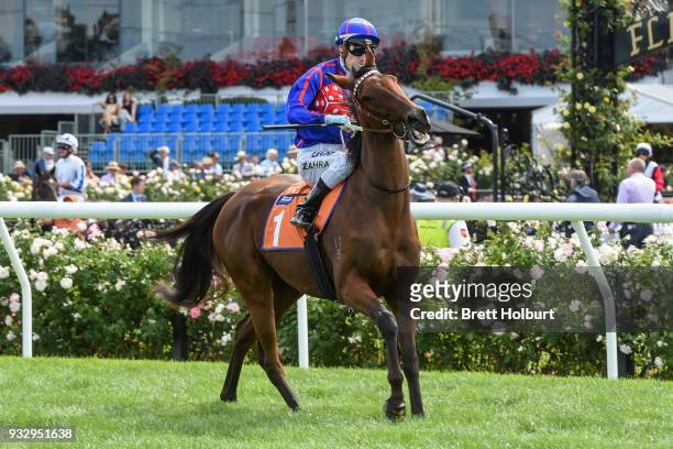 Krone ridden by Mark Zahra heads to the barriers before the TBV Thoroughbred Breeders Stakes at Flemington Racecourse on March 17, 2018 in...