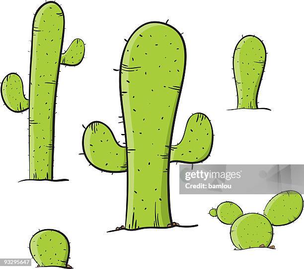 cactus - cactus needles stock illustrations