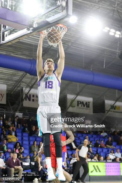 Luke Petrasek of the Greensboro Swarm dunks the ball during the game against the Delaware 87ers on March 16, 2018 at Greensboro Coliseum in...