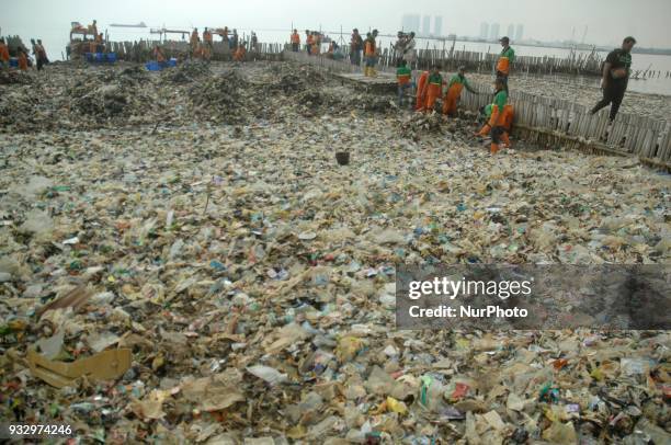 Workers clean up garbage piling up in Jakarta Bay area, Muara Angke, North Jakarta, In March 2018. The contamination of the Jakarta Bay area is...