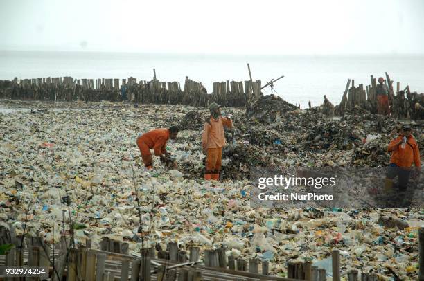 Workers clean up garbage piling up in Jakarta Bay area, Muara Angke, North Jakarta, In March 2018. The contamination of the Jakarta Bay area is...