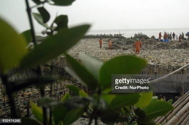 Workers clean up garbage piling up in Jakarta Bay area, Muara Angke, North Jakarta, In March 2018. The contamination of the Jakarta Bay area is...