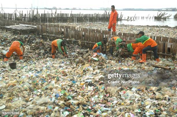 Workers clean up garbage piling up in Jakarta Bay area, Muara Angke, North Jakarta, In March 2018. The contamination of the Jakarta Bay area is...