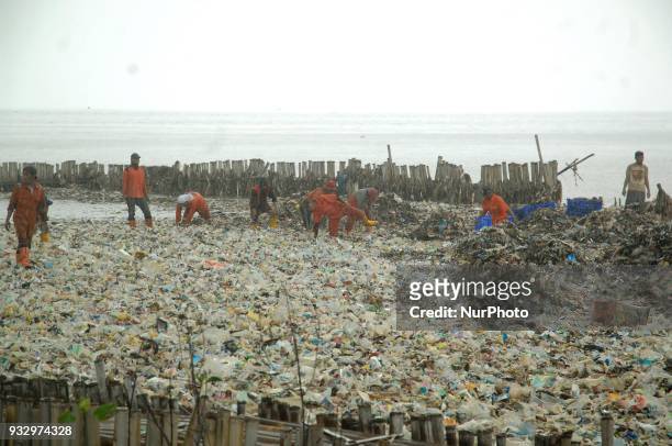 Workers clean up garbage piling up in Jakarta Bay area, Muara Angke, North Jakarta, In March 2018. The contamination of the Jakarta Bay area is...