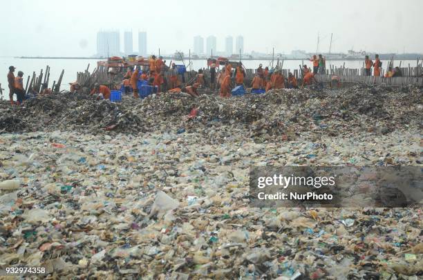 Workers clean up garbage piling up in Jakarta Bay area, Muara Angke, North Jakarta, In March 2018. The contamination of the Jakarta Bay area is...