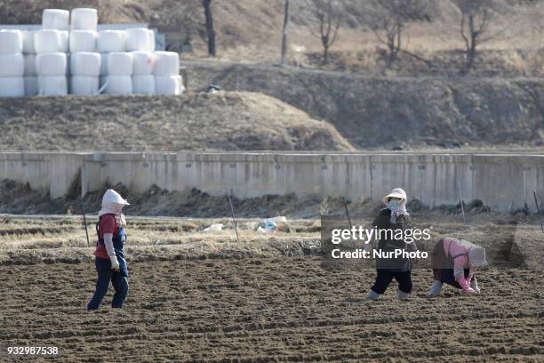 Farmers seed potatoes and Spring Onion with a farm machinery at the field in Hamchang, south of Seoul Gyeongbuk Province, South Korea, on 17 March...