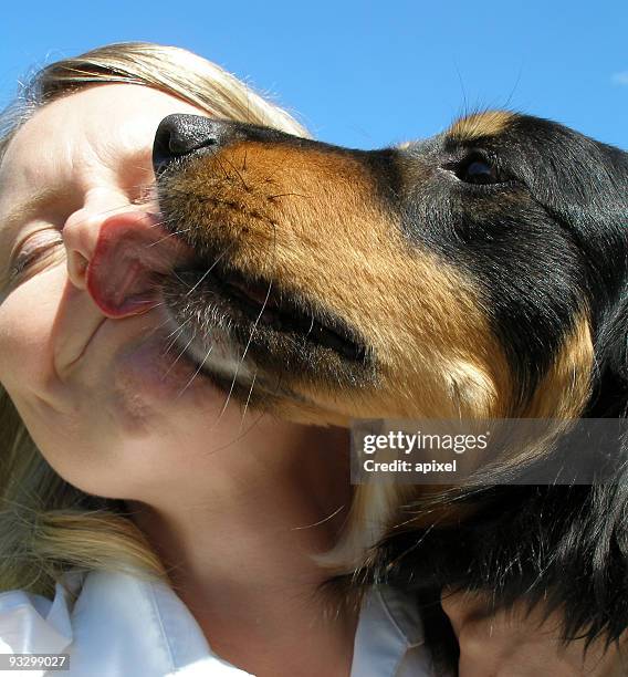 hund kiss - dog licking face stock-fotos und bilder