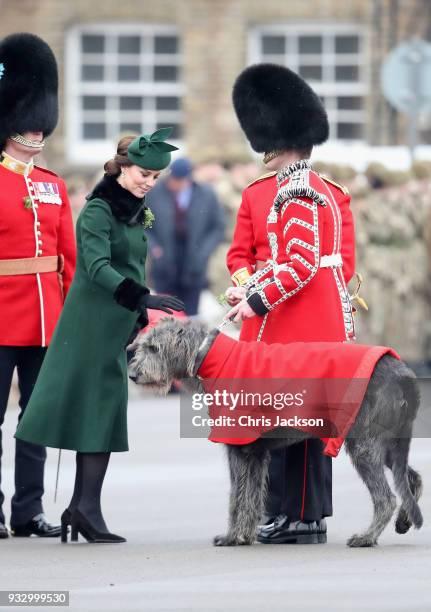 Catherine, Duchess of Cambridge attaches a sprig of shamrock to the regimental mascot, the Irish wolfhound 'Donal' during the annual Irish Guards St...