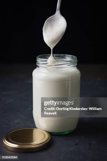 making yogurt, step 2: adding one tablespoon of live yogurt to the cooled milk in a glass jar - yoghurt lid stock pictures, royalty-free photos & images