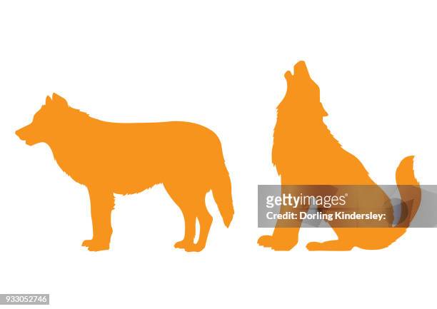 wolf - two animals stock illustrations