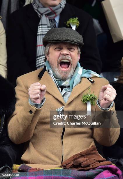 Actor Mark Hamill watches on as the annual Saint Patrick's day parade takes place on March 17, 2018 in Dublin, Ireland. Dublin hosts the largest...