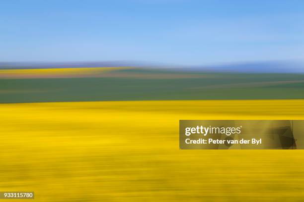 an artistic expression of canola and wheat fields in the early spring with the bold yellow colors of canola offset by the emerald green of the wheat, swellendam, western cape province, south africa - swellendam stock pictures, royalty-free photos & images