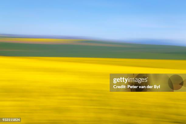 an artistic expression of canola and wheat fields in the early spring with the bold yellow colors of canola offset by the emerald green of the wheat, swellendam, western cape province, south africa - swellendam stock pictures, royalty-free photos & images