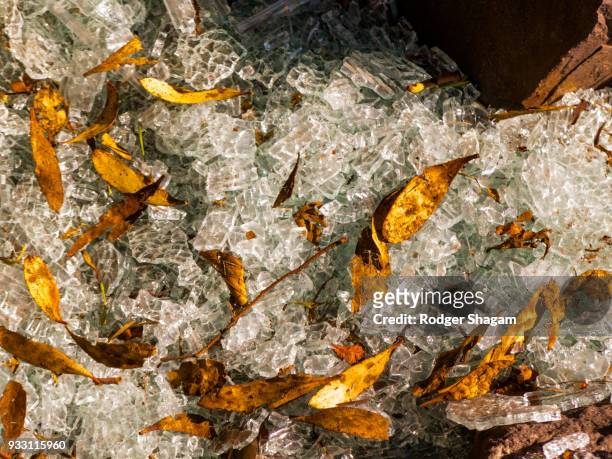 shattered glass and sprinkled leaves. cape town, south africa - crushed leaves stock pictures, royalty-free photos & images