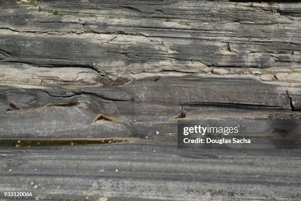 glacial grooves state park, kelleys island, ohio, usa - aardkorst stockfoto's en -beelden