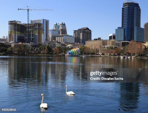 orlando downtown city skyline from lake eola park - cleveland ohio flats stock pictures, royalty-free photos & images