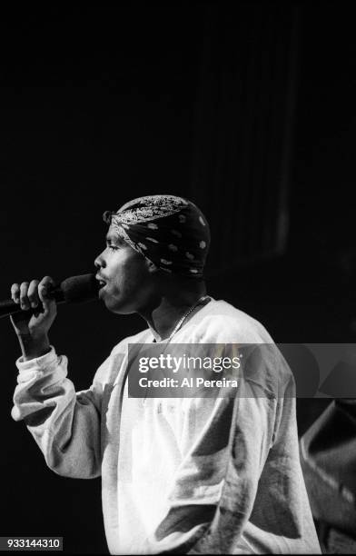 Daz Dillinger Photos Photos and Premium High Res Pictures - Getty Images