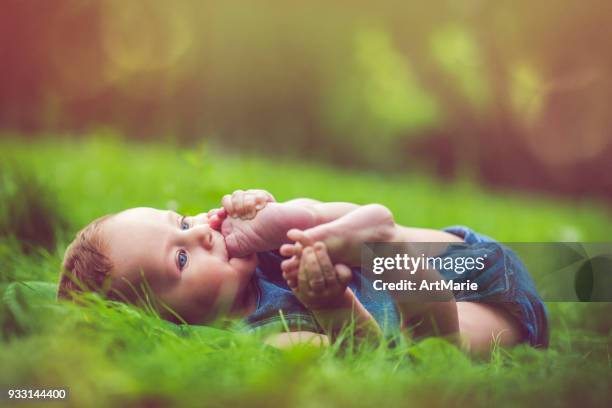 cute baby playing with his legs on the grass - feet sucking stock pictures, royalty-free photos & images
