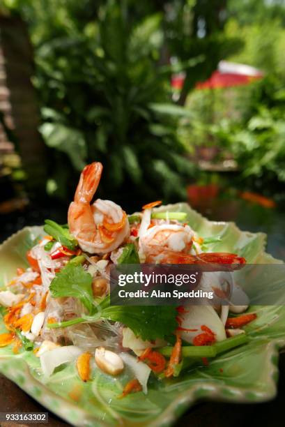 thai glass noodle salad , yam woon sen. - vermicelle chinois photos et images de collection