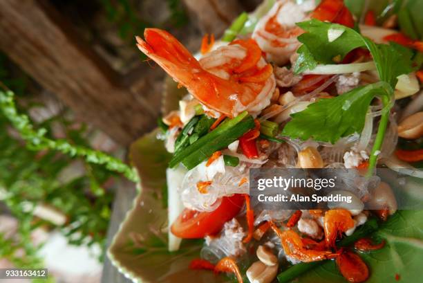 thai glass noodle salad , yam woon sen. - vermicelle chinois photos et images de collection