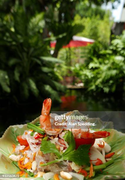 thai glass noodle salad , yam woon sen. - vermicelle chinois photos et images de collection