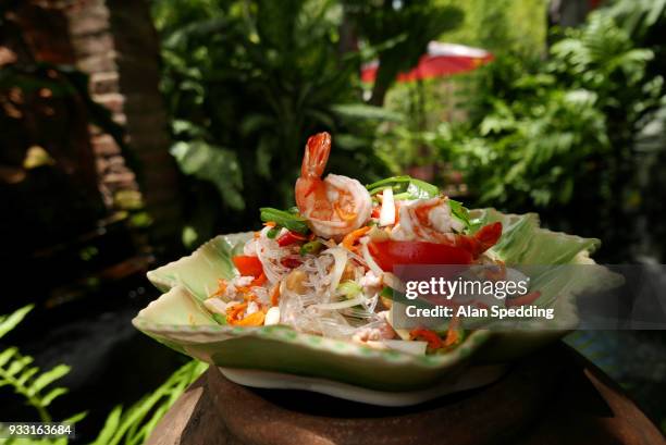 thai glass noodle salad , yam woon sen. - fideo transparente fotografías e imágenes de stock