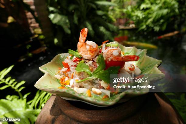 thai glass noodle salad , yam woon sen. - vermicelle chinois photos et images de collection